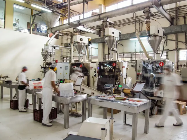 Proceso de empaque